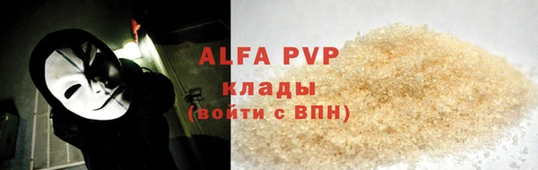 стафф Алексин