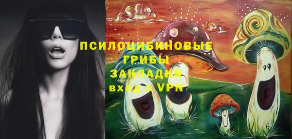 стафф Алексин