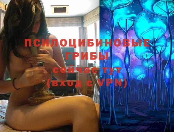 а пвп мука Дмитриев