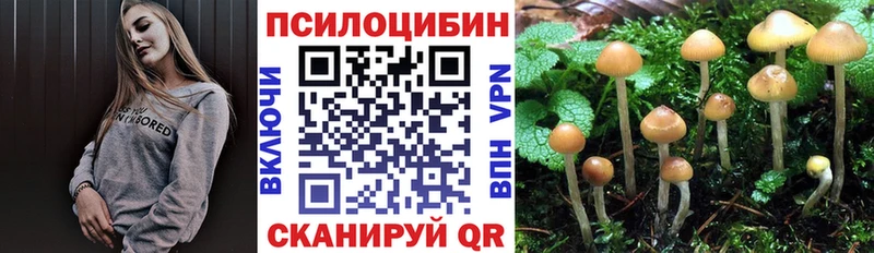 Псилоцибиновые грибы GOLDEN TEACHER  Сольцы 